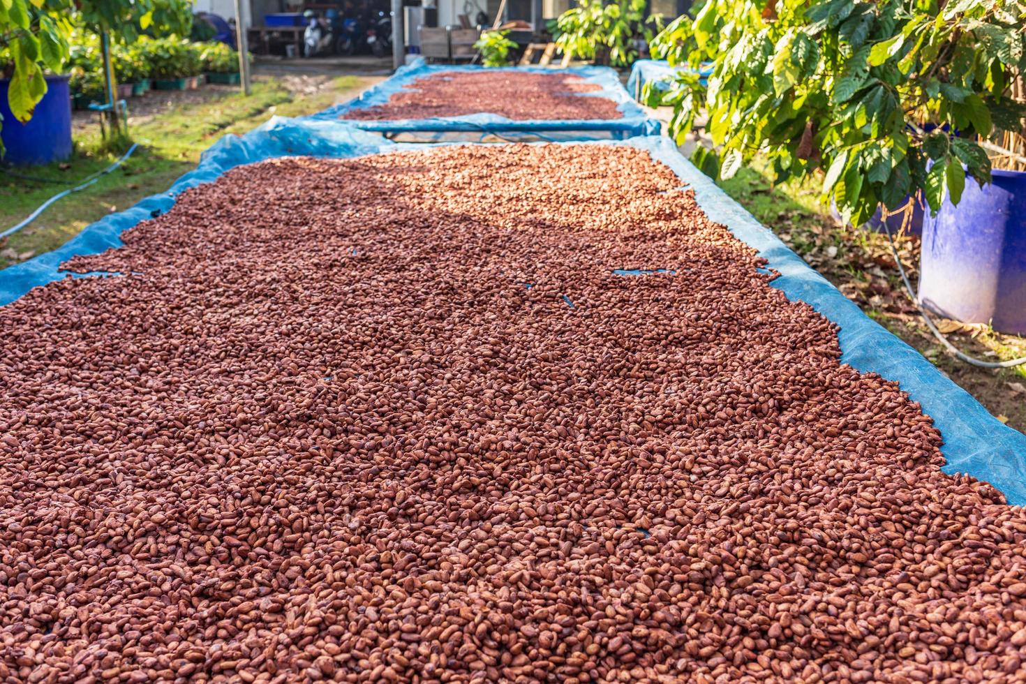Coffee & Cocoa Sampler