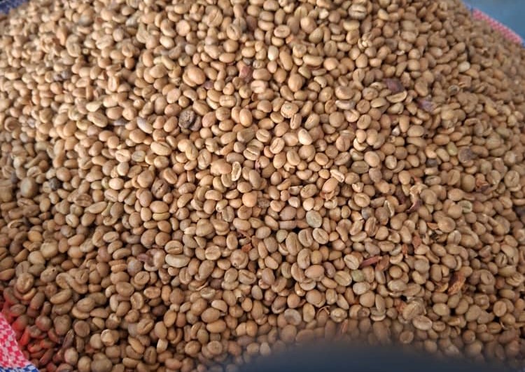 Coffee Beans